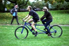 Den bílé hole 2013